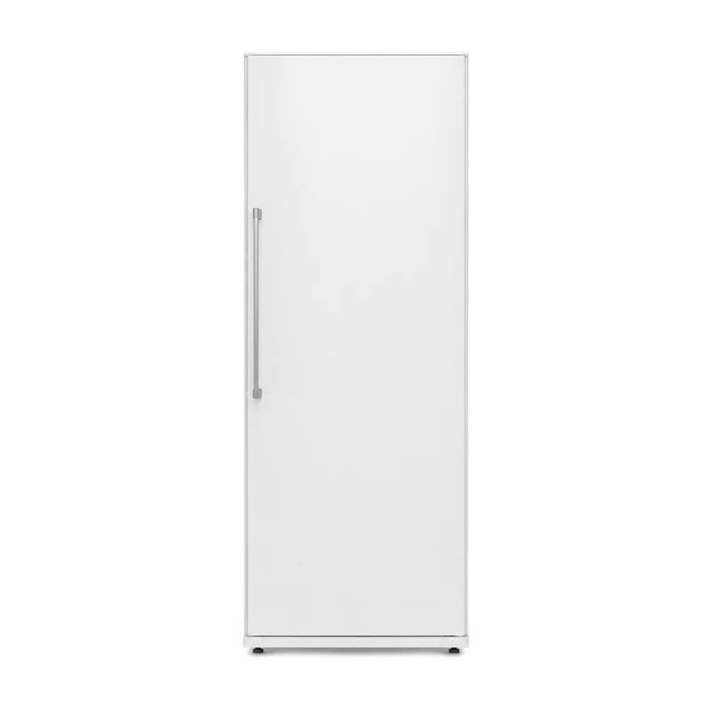 Холодильник Asko R2282I — иллюстрация модели
