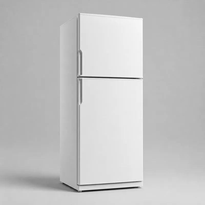 Иллюстрация холодильника Бирюса W6149