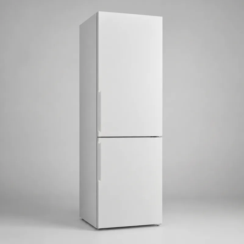 Иллюстрация холодильника Gorenje RK 6192 ES4