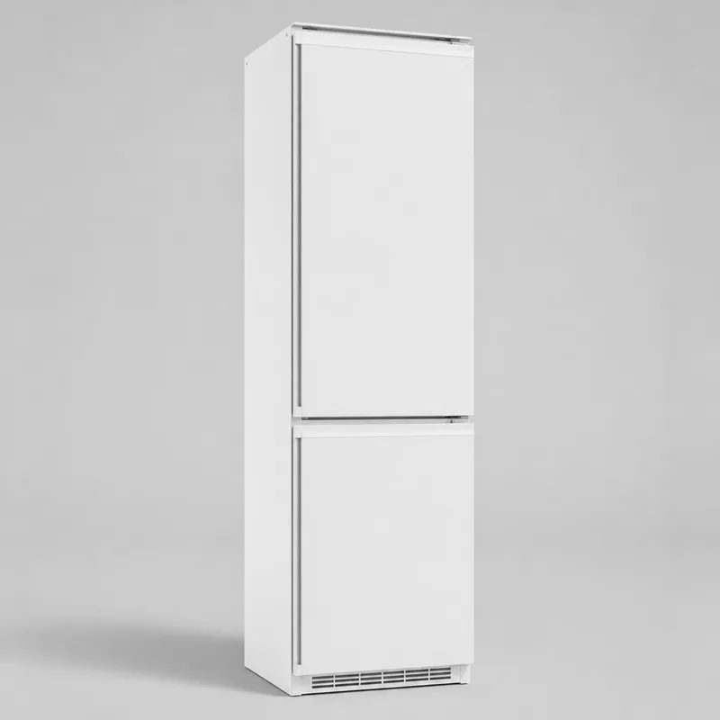 Иллюстрация холодильника Hansa BK305.0DFOC