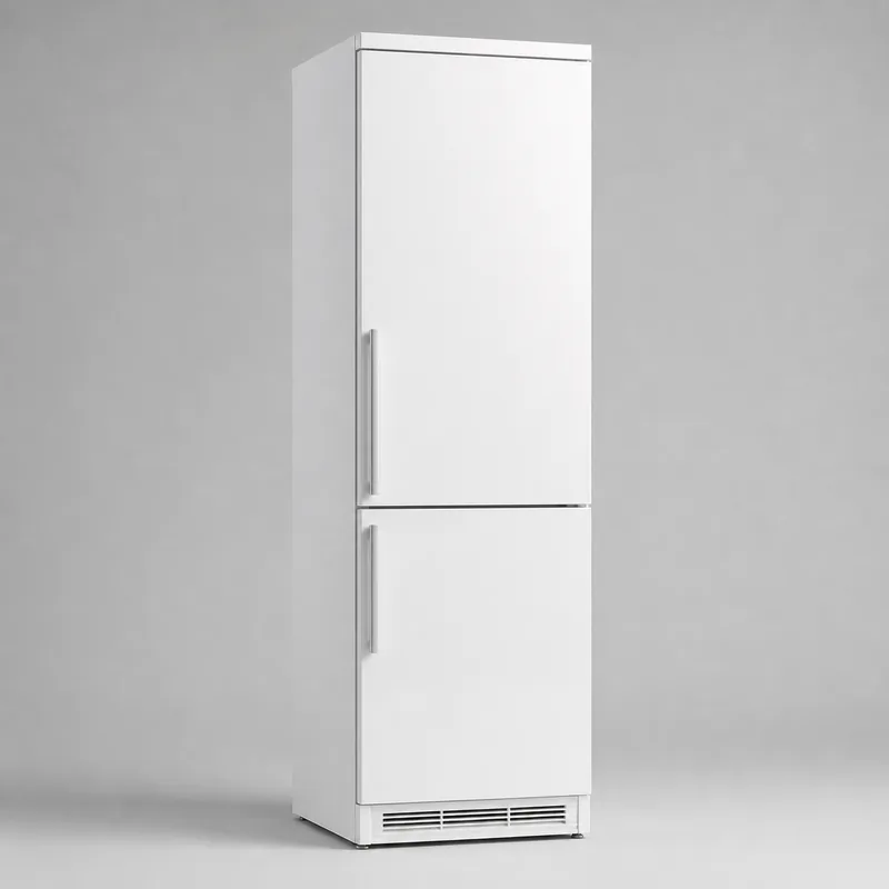 Иллюстрация холодильника Hansa BK315.3