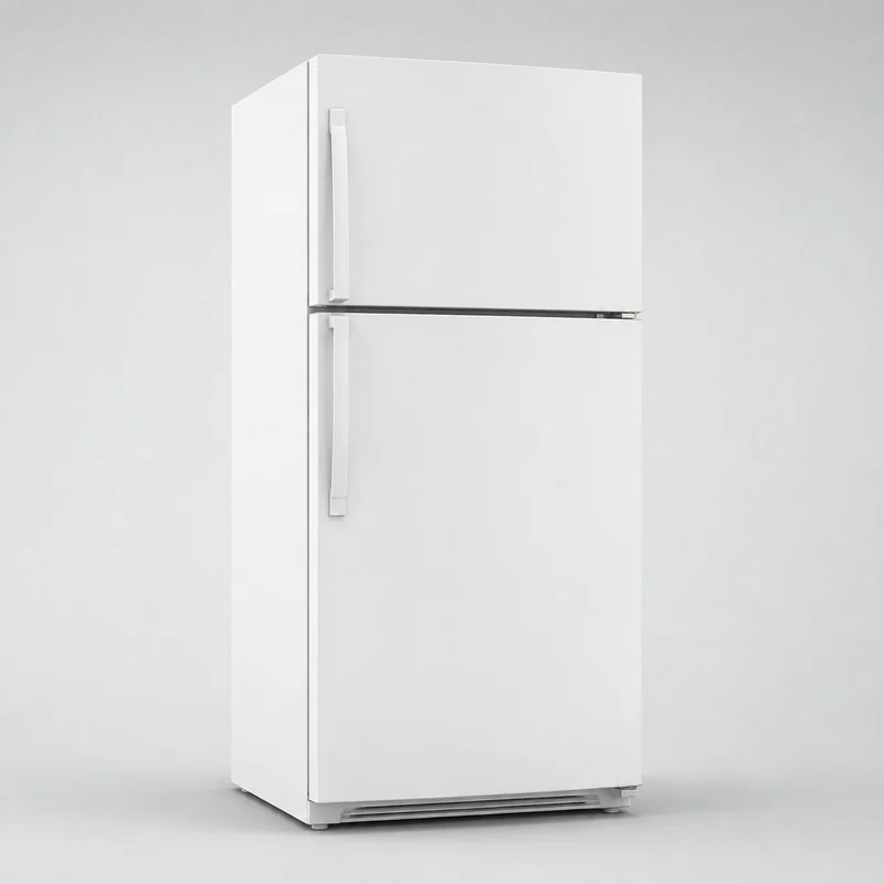 Иллюстрация холодильника Indesit DSN 20