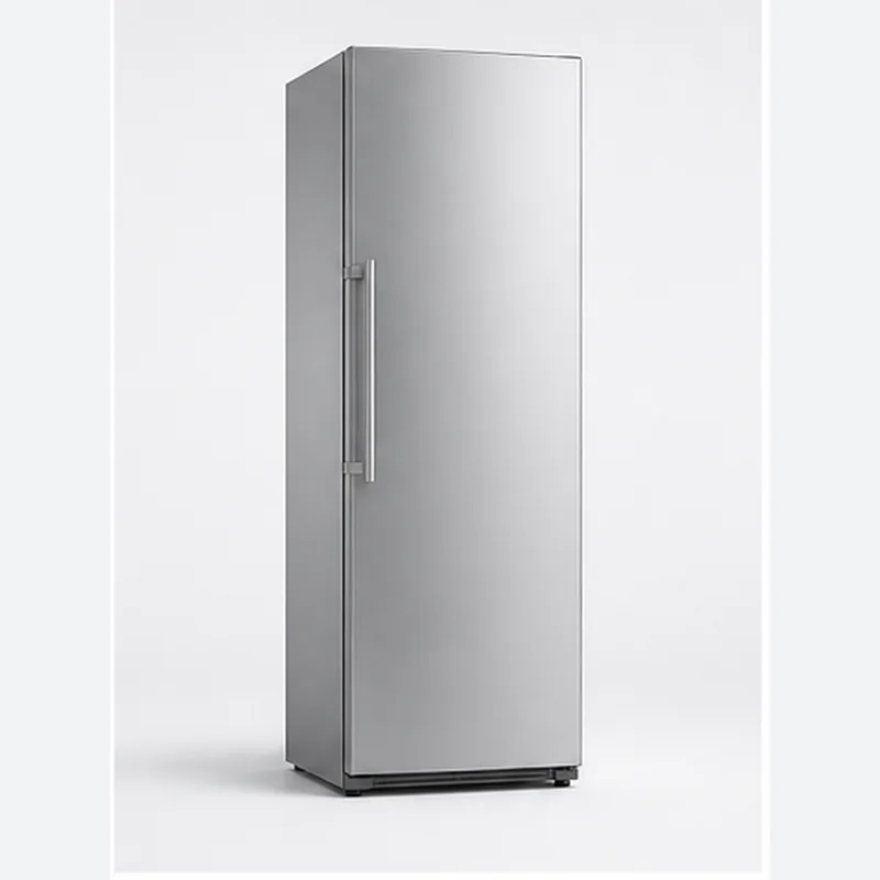 Иллюстрация холодильника Scandilux RBI524EZ